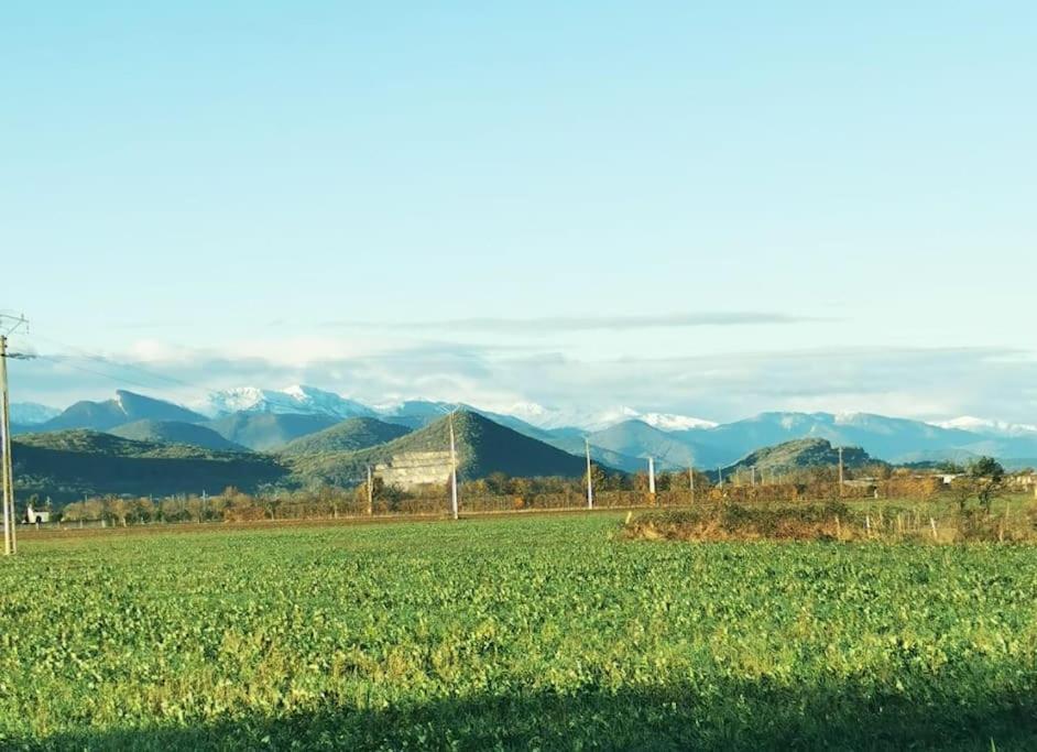 Ferienwohnung T3 Au Pied Des Pyrenees Pointis-de-Riviere Exterior foto